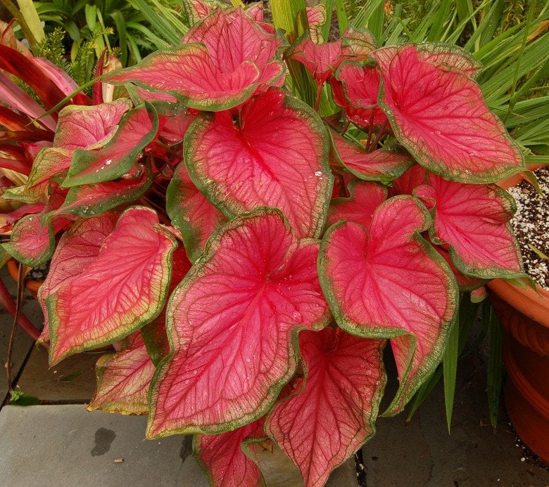 3-2220