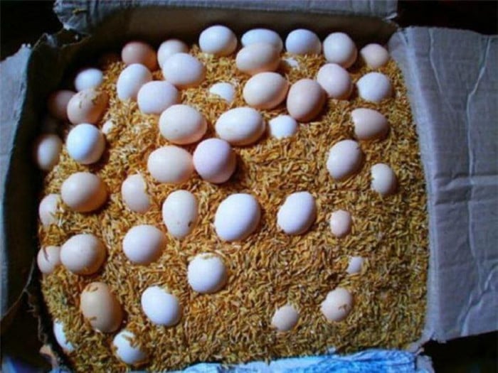 cach-bao-quan-trung-khong-can-tu-lanh-02