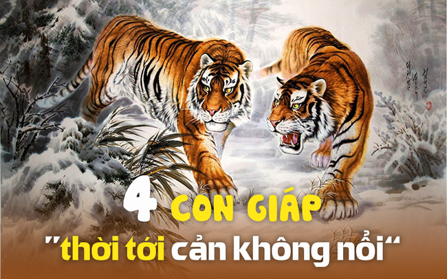 con-giap-giau-to