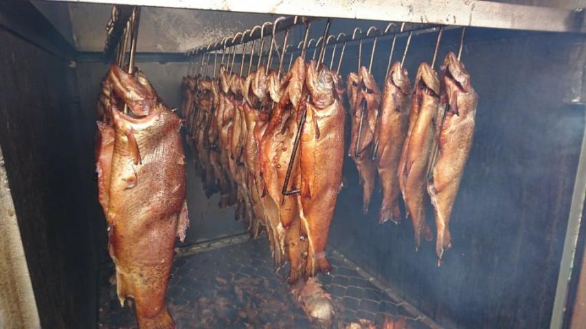 3-loai-ca-it-dinh-duong-nhieu-chat-co-hai-03