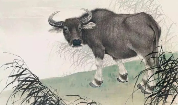 tu-vi-5-ngay-cuoi-nham-dan-01