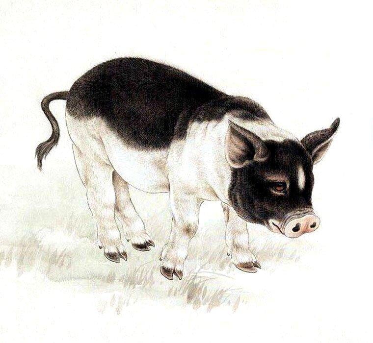 tu-vi-02