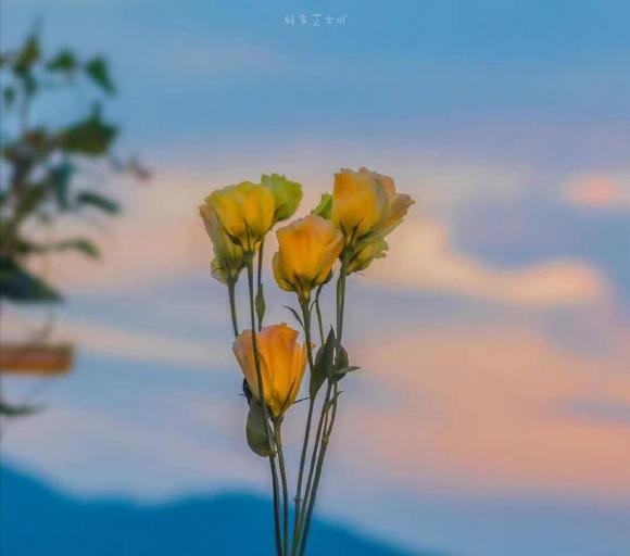 1-cuoc-song-can-biet-dieu-nay-1