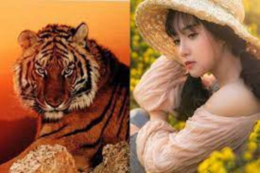 download (41) (3)