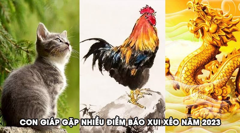 6A011DC8-905A-4C41-A76B-22C58037DF92