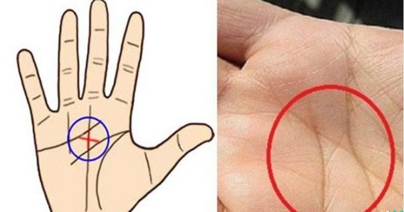 Đa số người sở hữu đường chỉ tay này có số mệnh phú quý, giàu sang. 