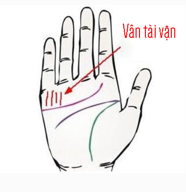 duong-van-trong-long-ban-tay-3