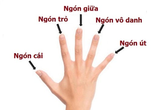 xem-tuong-ngon-tay-cua-ban-1