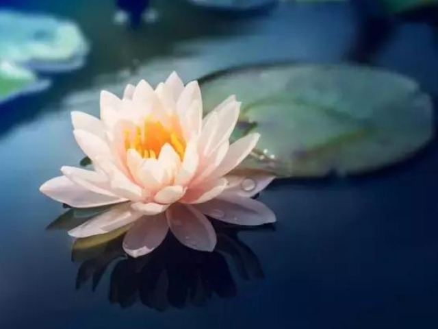 1657334044-424-thumbnail-width640height480