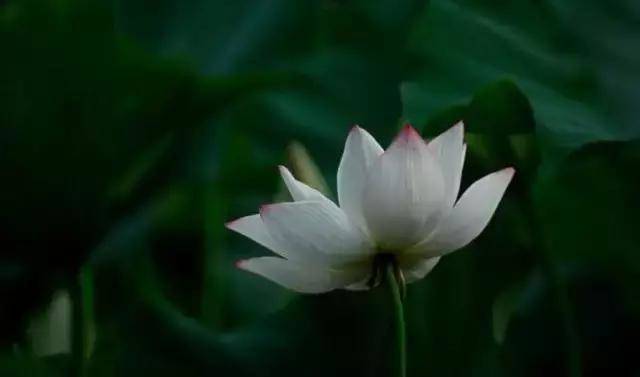 o-doi-tam-hai-nguoi-khong-nen-nhung-tam-phong-nguoi-nhat-dinh-phai-co-a3-1657333932-168-width640height377