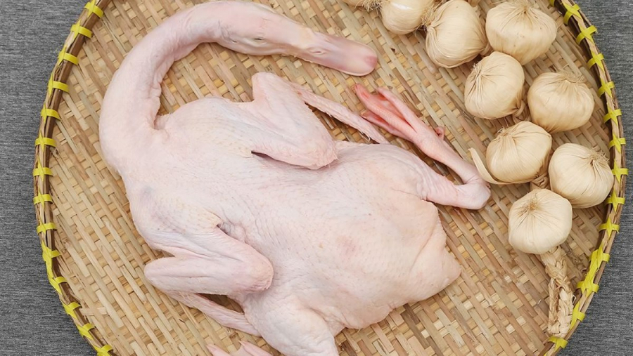 vit-luoc-01