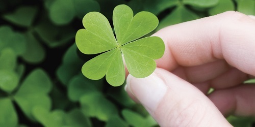 o-LUCKY-facebook-8264-1659239137
