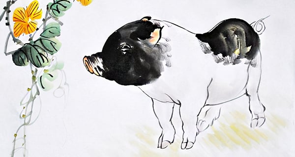 11