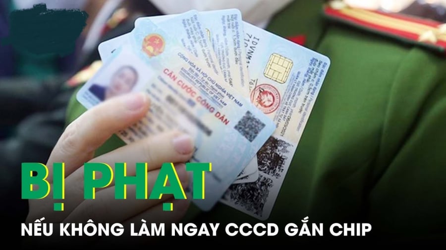 cccd - 1