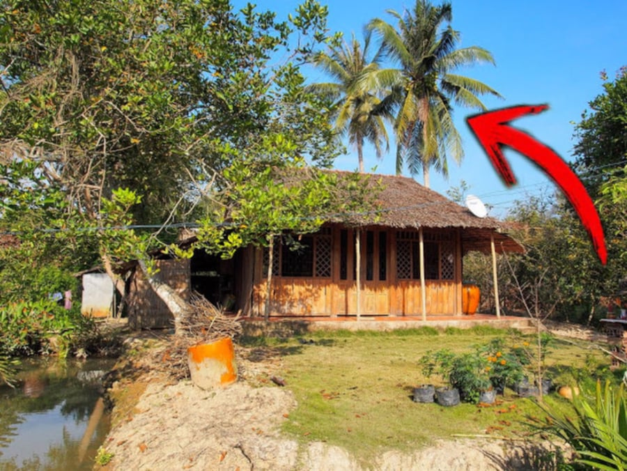 5 loại cây trồng nhà nào nhà đó nghèo khổ, khó khăn