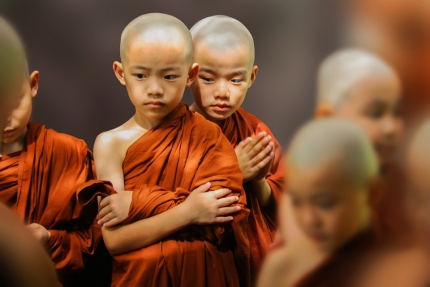 phat-day-neu-muon-truong-tho-hay-cuu-mang-chung-sinh-va-thuc-hanh-bo-thi-1580830880-cxwgg