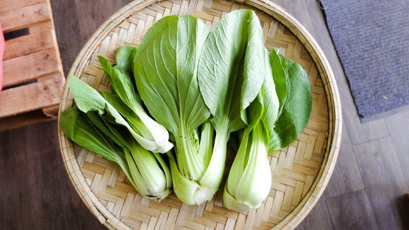 cach-nhat-rau-cai-thia-nhanh-dung-cach-tipsnote-800x450-7