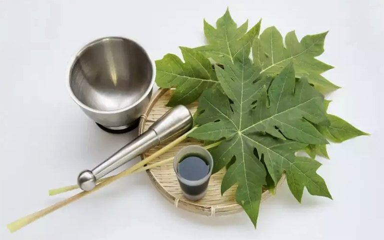nuoc-la-du-du-02