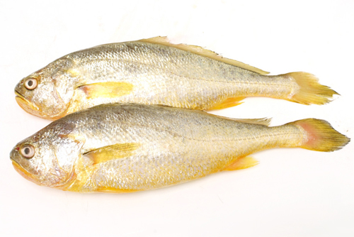 ca-ngot-thi-it-xuong-08