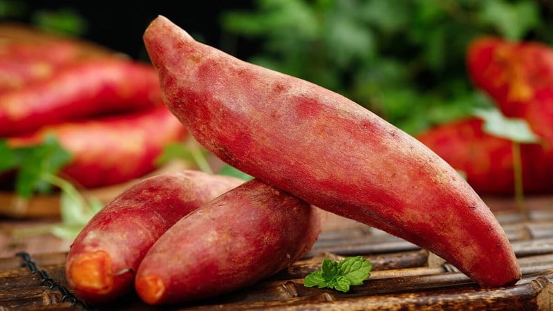 100g-khoai-lang-bao-nhieu-calo-an-khoai-lang-co-1-800x450-1