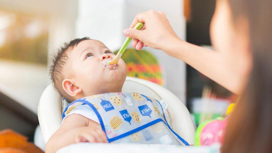 cho-con-an