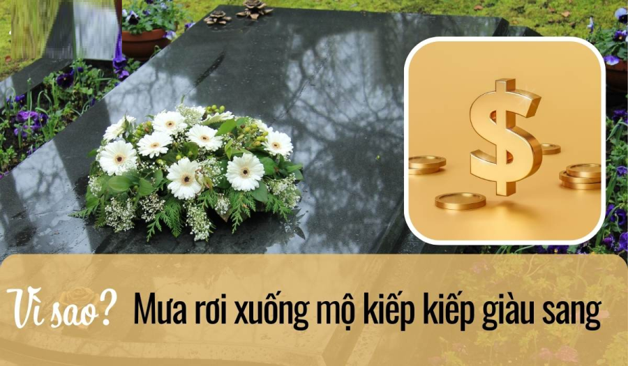 mua-roi-xuong-mo