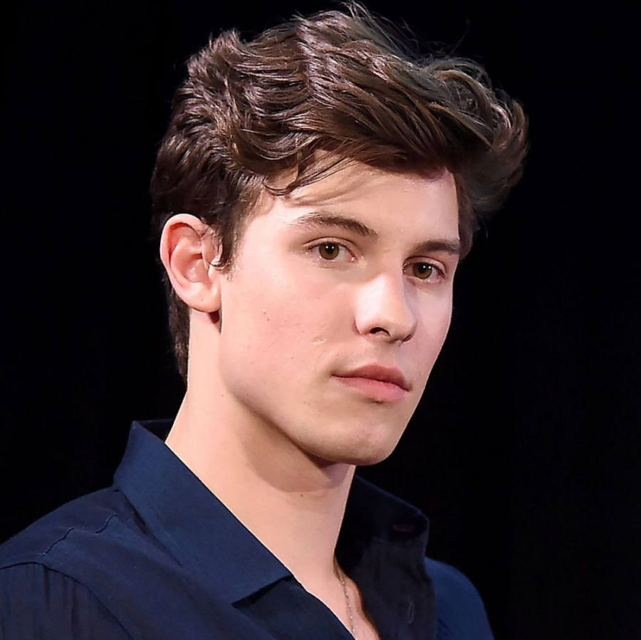 shawn-mendes-nghe-thuat-e1600022868879