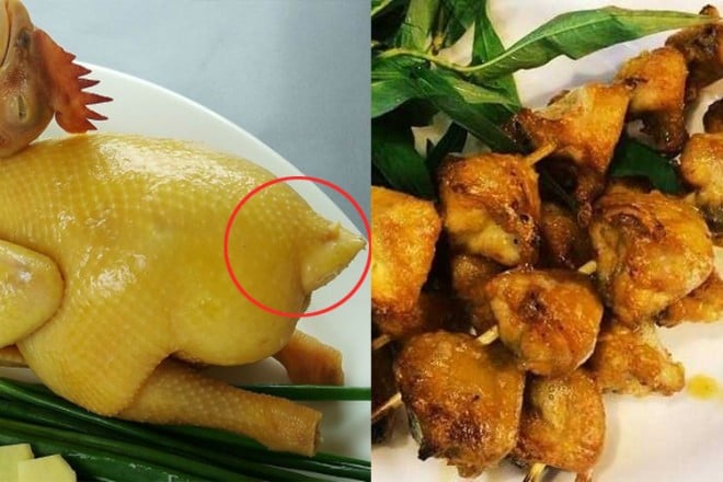 phao cau ga