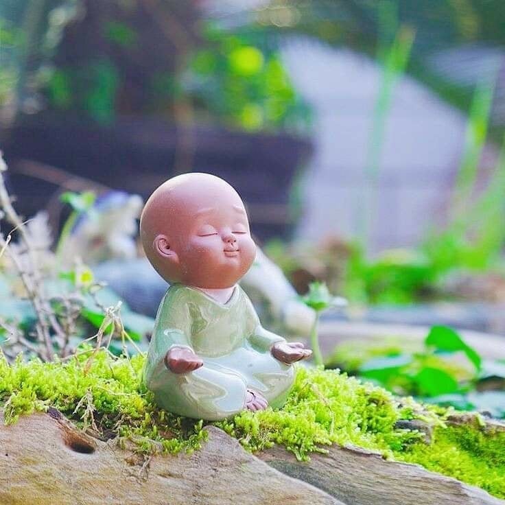 cang_don_gian_cang_hanh_phuc