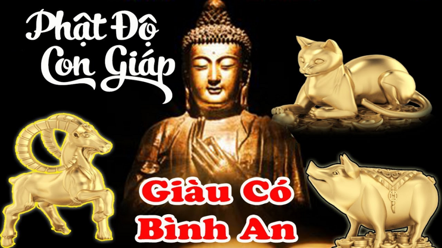 co-can-nha-phat