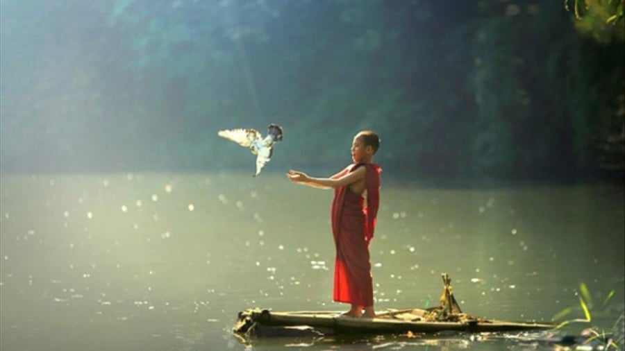 Song-khiem-ton-moi-la-dinh-cao-cua-su-hieu-biet