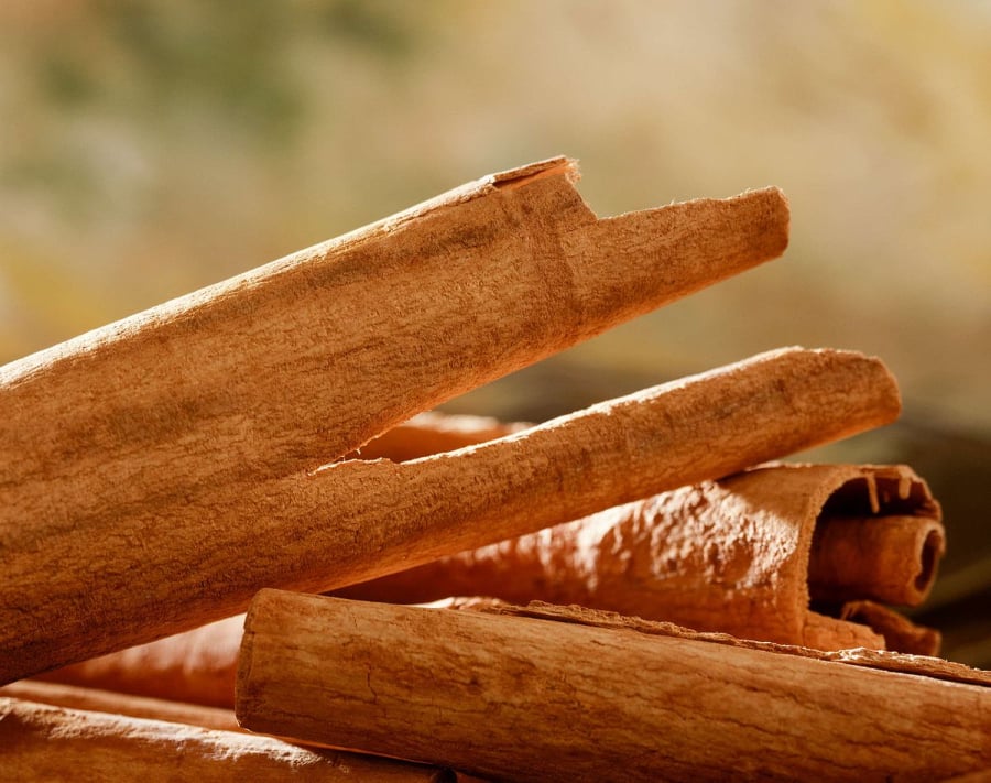 Baton_de_cannelle