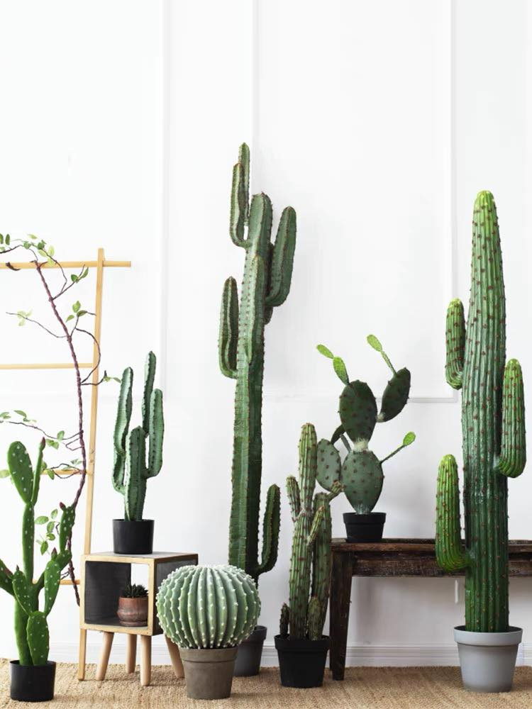 tiny-garden-810332