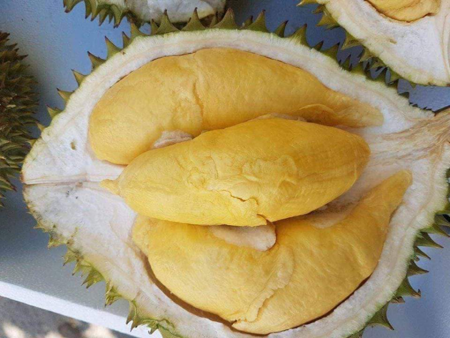qua-thuan-viet