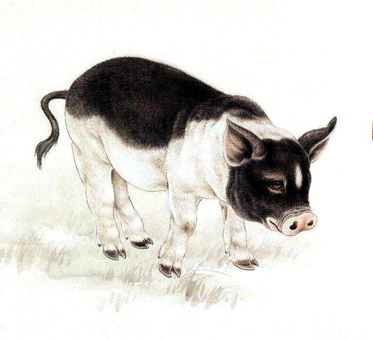 tu-vi-01