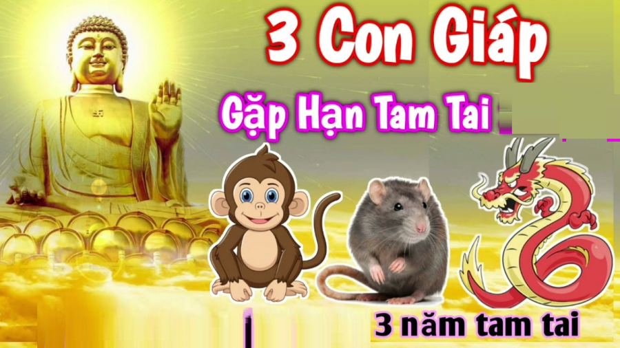 con-giap-tam-tai