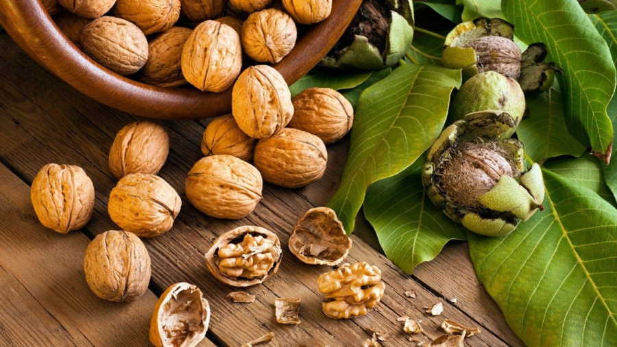 meo-trong-cay-luoi-ho-01