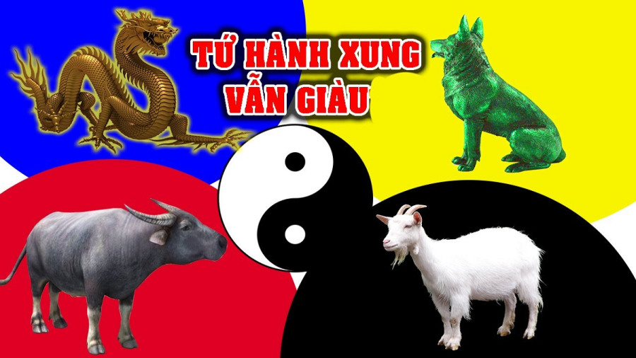 tu-hanh-xung