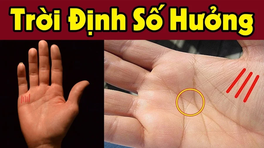 ban-tay-so-huong