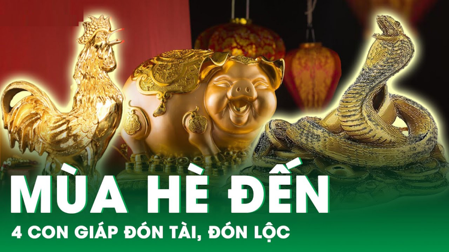 cin-giap-mua-he