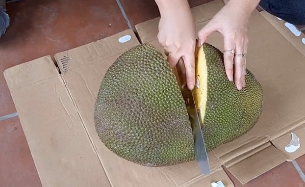 lam-sach-nhua-mit-03