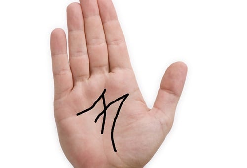149000206780441-tay