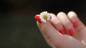 images (9)