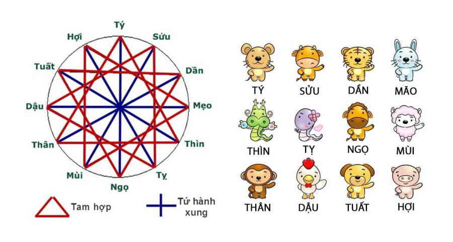 tu-hanh-xung