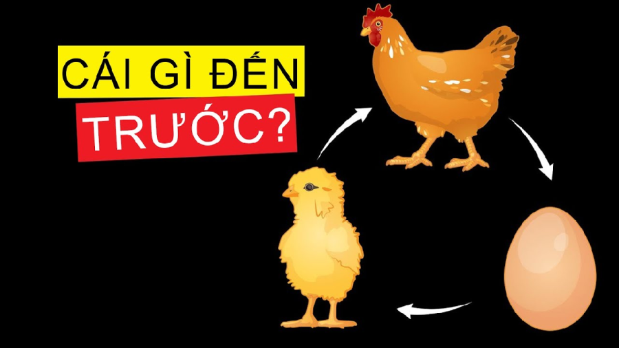 con-ga-co-truoc-hay-qua-trung
