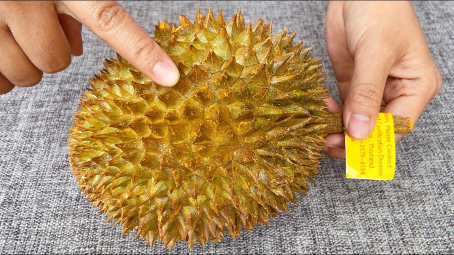 cach-chon-sau-rieng-01