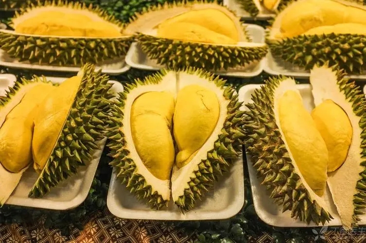 cach-chon-sau-rieng-03