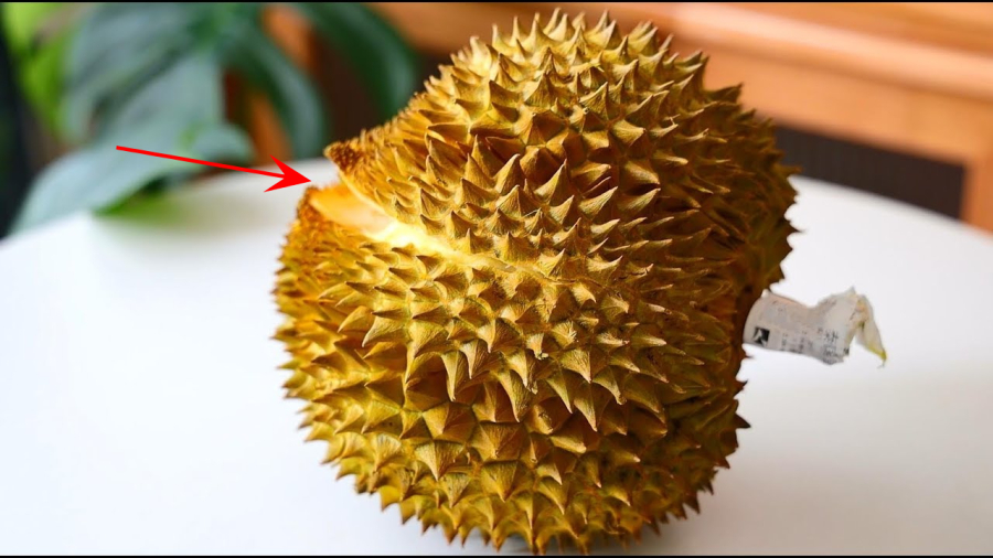 cach-chon-sau-rieng-04