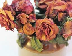 images (10)