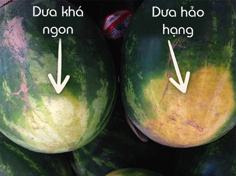 Nguoi-trong-dua-hau-20-nam-tiet-lo-Nhin-vao-diem-nay-biet-dua-ngon-ngot-khong-can-vo-moi-tay_1